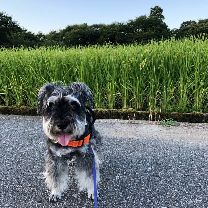 8bf6d79d 4b13 4d1a 8ad6 93d932437cd5 1691273542046