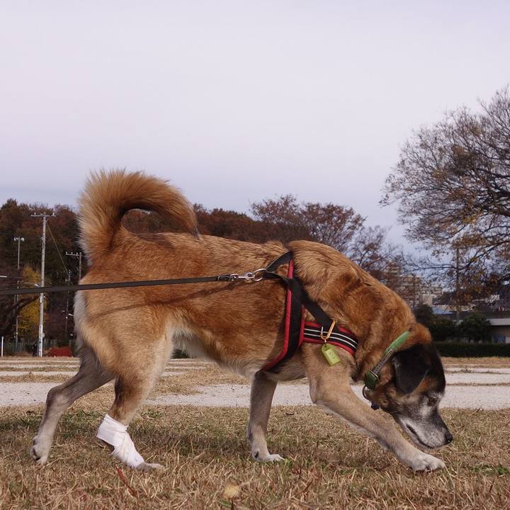 8bf6f188 b55d 4ecc 9b18 d9008ae089a6 1654302662075