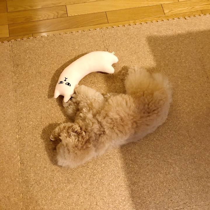 8bf6f86a 3c12 4b45 a65d 79d6b9656570 1512870607470