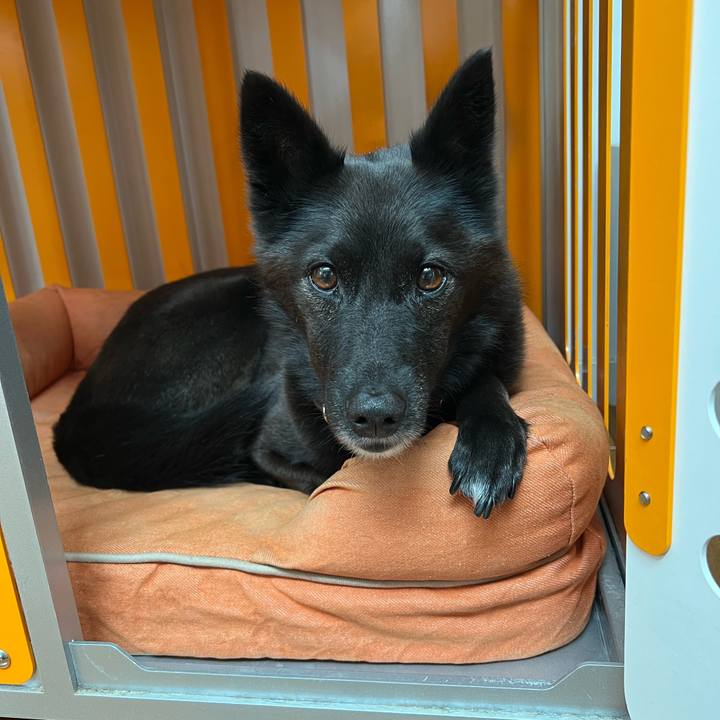 8bf735dd 8503 43cc 8df8 d2030e23a37c 1688195702910