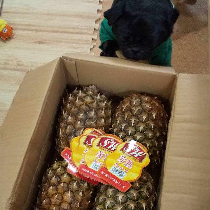 8bf7572a 3110 4be6 af8e 352a6a073a93 1587294441960