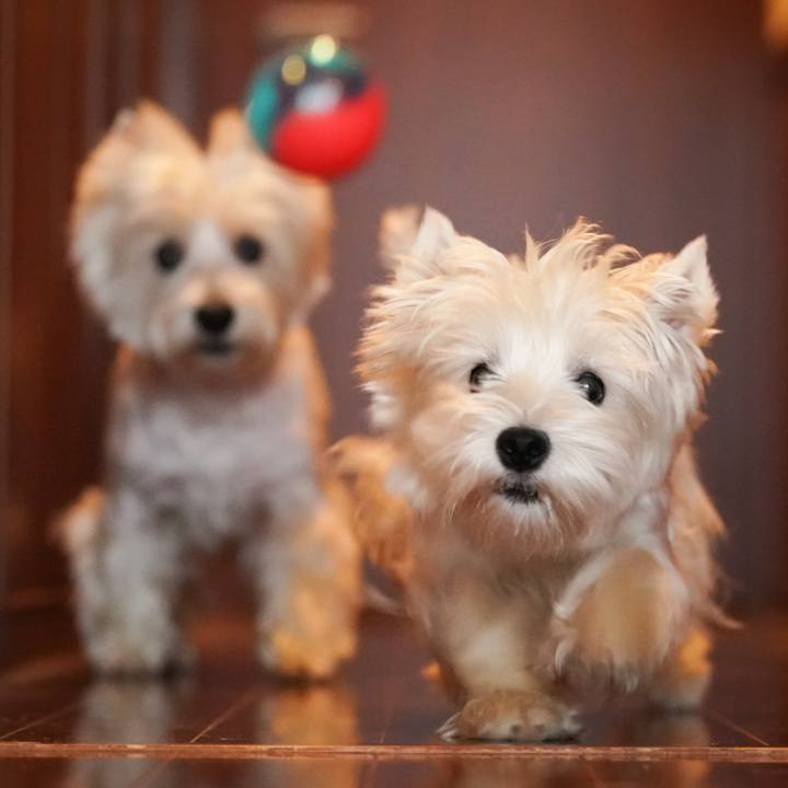 8bf7a164 db99 4bae 955a fb3f3b149bb3 1533691389343