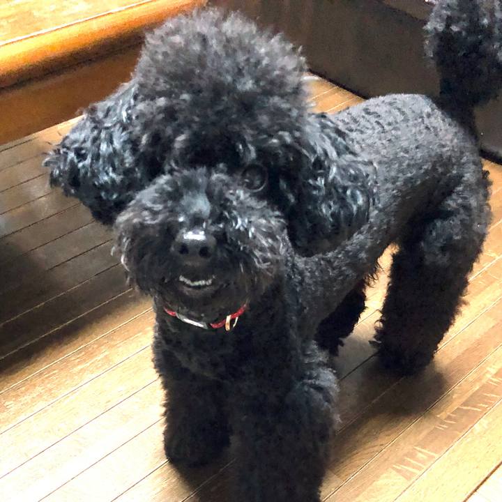 8bf7b8bd 73b9 4376 9d45 ebe43af10c6a 1571878226676