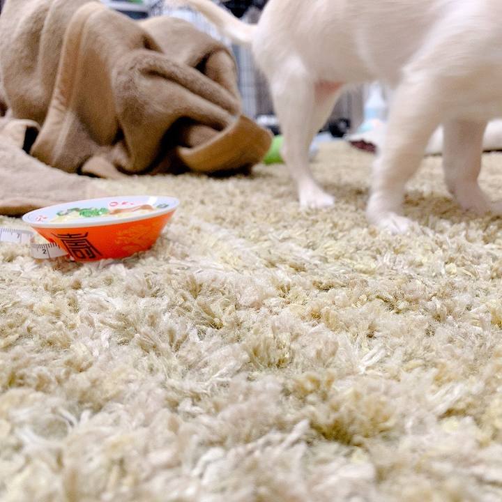 8bf80400 3bdf 4c36 a825 86b9cb35ec85 1592789625073