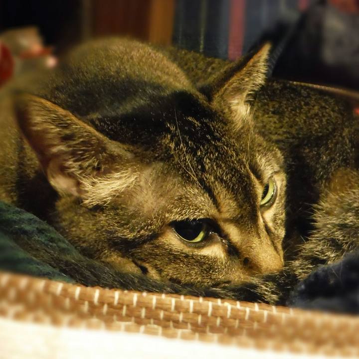 8bf84ab7 b688 4cd2 9452 27ebb36a0b81 1569144007990