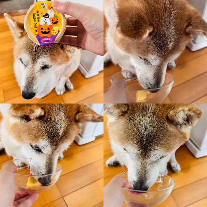 8bf88200 9fcc 4c09 9df1 8927c4fc2339 1758532452099