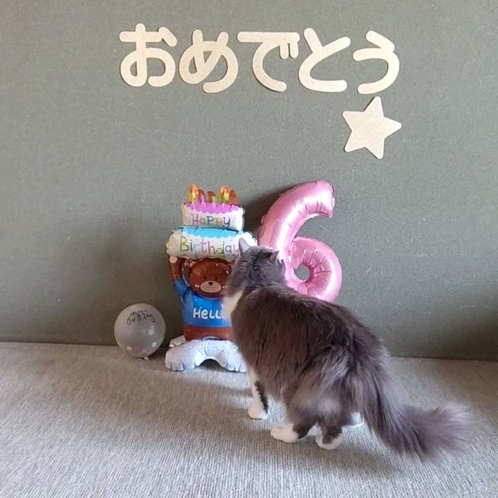 8bf88d29 0b29 4977 aa19 fd34a19a92bf 1746046090706