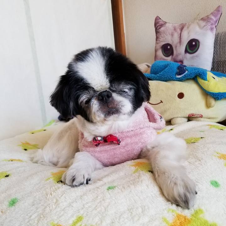 8bf8d8ba 5104 4541 b36e 9d69057a1dea 1614503179159