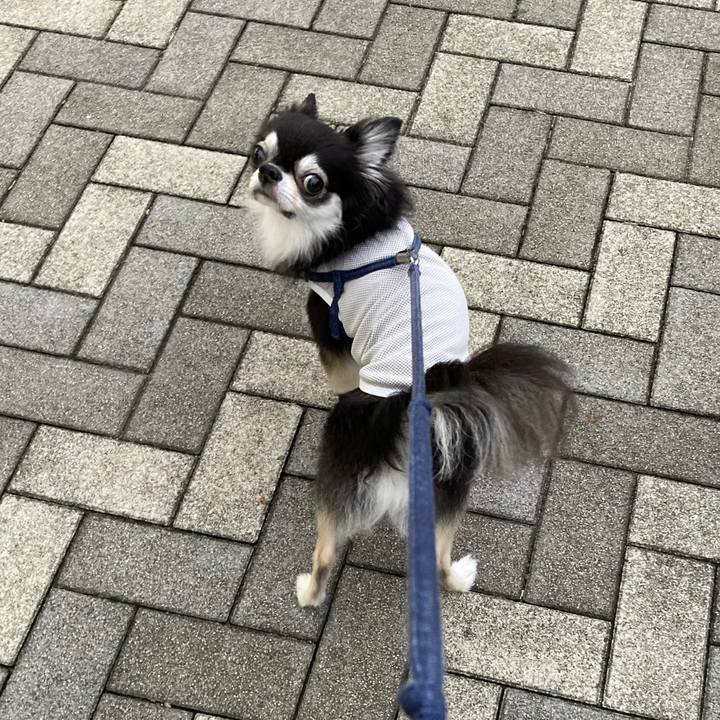 8bf8efd9 160c 43c3 bb39 89a786db55d5 1695465913714