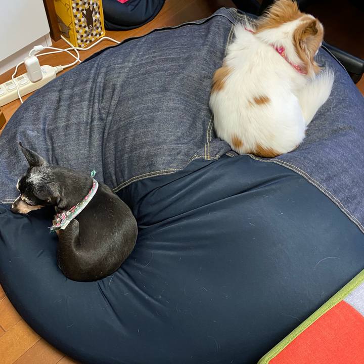 8bf92c94 e8e9 40f5 a91a 711d5f41b3e5 1586612733671