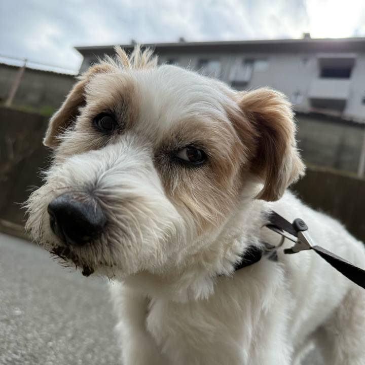 8bf931a6 6b68 47b4 bb1a ab4e51684383 1770966446085