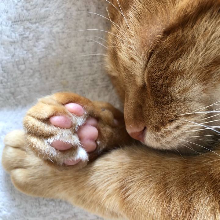 8bf95357 a593 4fb5 b68c 22d98d5a76dc 1621057289338