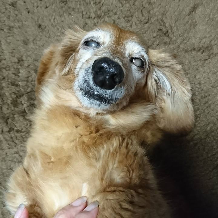 8bf968dc 9a24 4474 bf43 c09347c9bc17 1508864424850