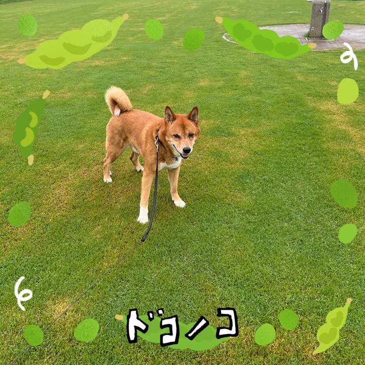 8bf982f1 50c4 40e5 afb1 b40a988d64c9 1720918319319