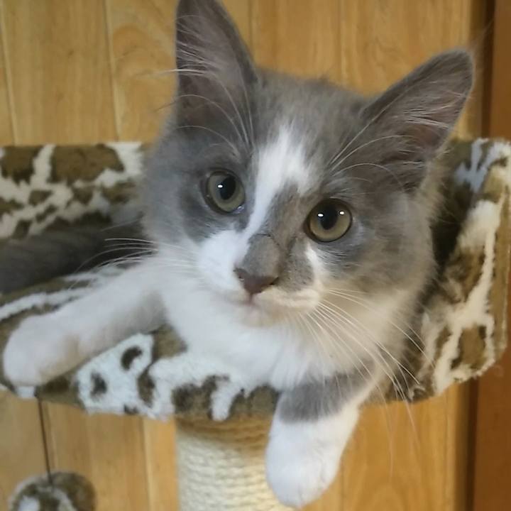 8bf99172 353b 4943 96d3 dd1b9927d9b1 1563618051949