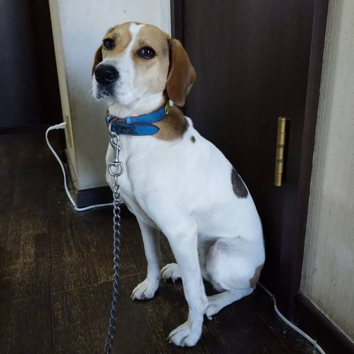 8bf9bd07 592e 4568 b64b 55016bba852a 1605680731780