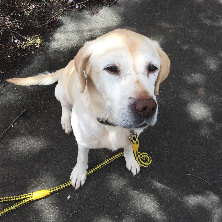 8bf9fe37 9831 43ee b4ed 099008bac961 1553694921195