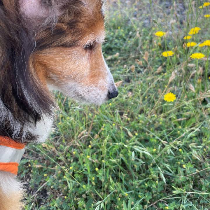 8bfa0169 ba11 4750 bba1 d4b898ae50cb 1656839588397