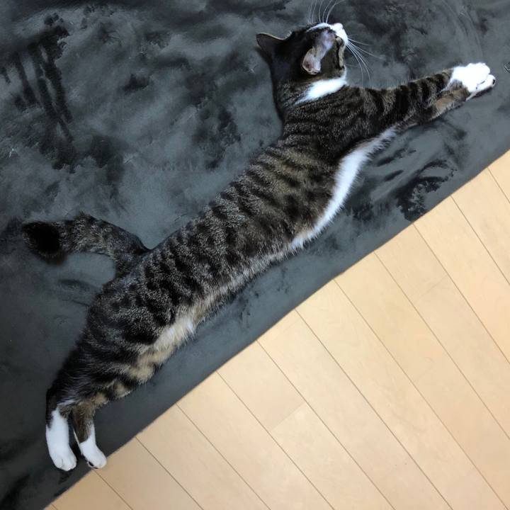 8bfa0c09 88cf 4814 bee5 ca54bb808f70 1521034991678