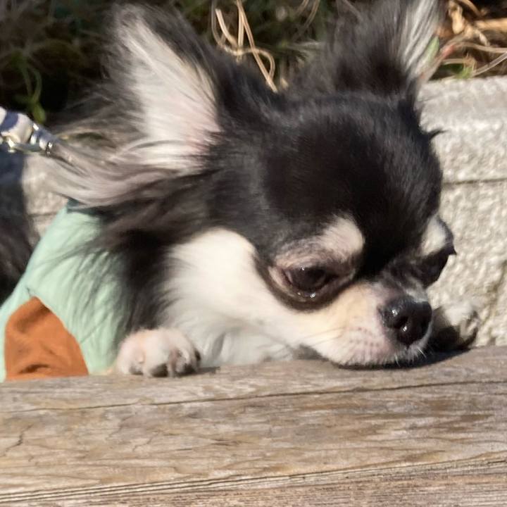 8bfa431c d78b 4480 aa10 3913b1dcc7ad 1613040796046