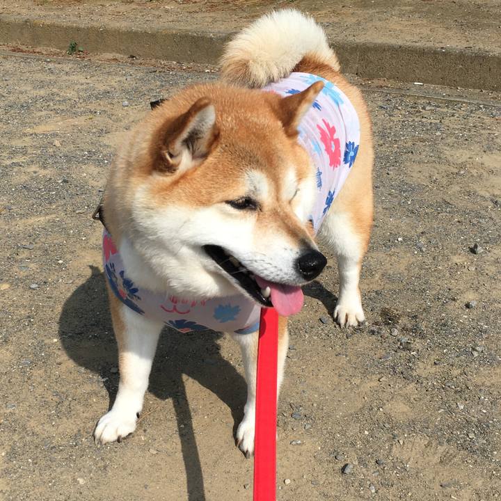 8bfa5176 850e 41aa 9099 9ab4779f955d 1591659147276