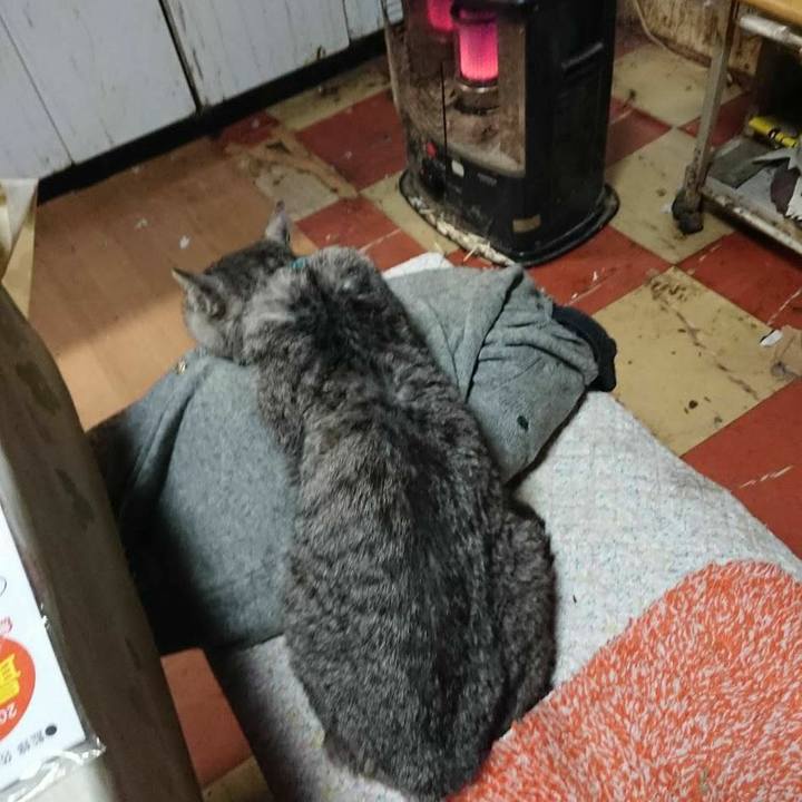 8bfa88df 11eb 4669 af82 e33e075409af 1574764713081