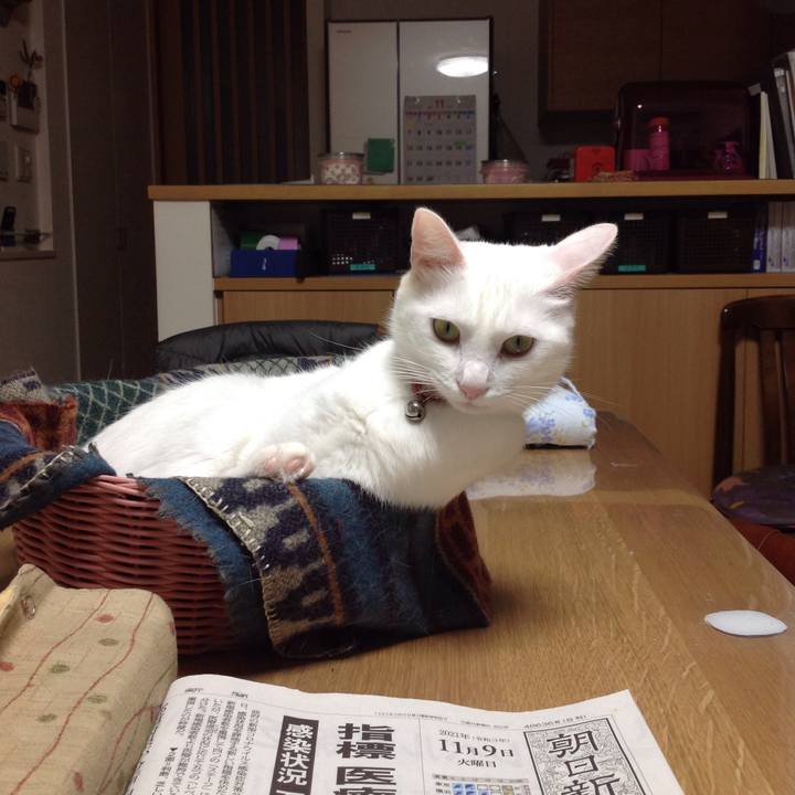 8bfa985a 01fb 4b15 b2f9 69d07c12df71 1636421803558