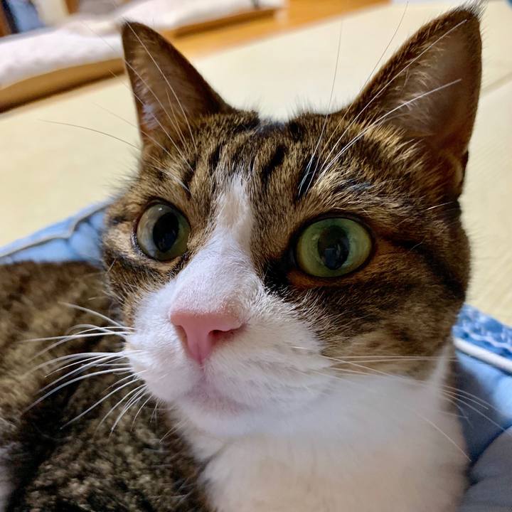 8bfaaa7c 1786 499b 9fc9 908d238debf7 1564833103452