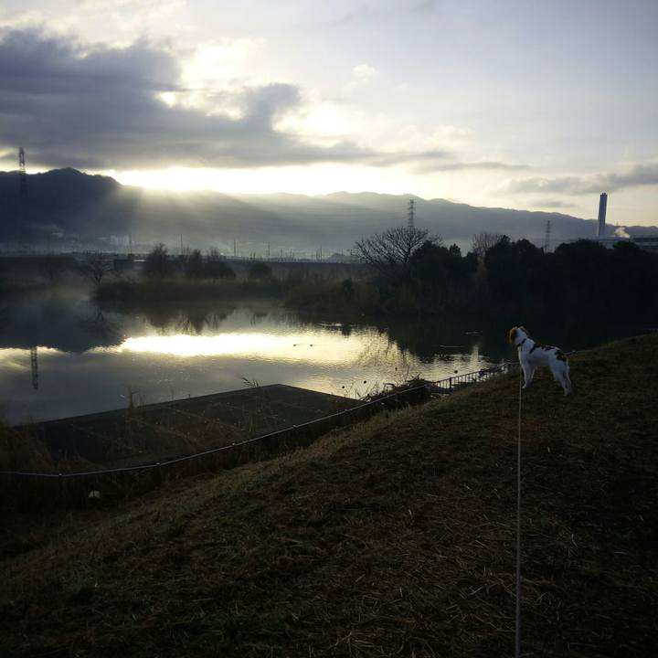 8bfae9da 0536 4a24 b411 58a00e496618 1516242718942