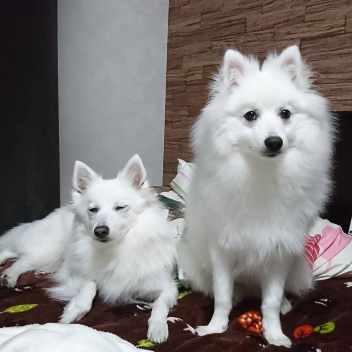 8bfb0658 224f 47bf b40c 916be7df6f5e 1557329156024