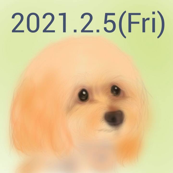 8bfb160e 1486 4c5b 89d2 db913c4b1977 1612534916048
