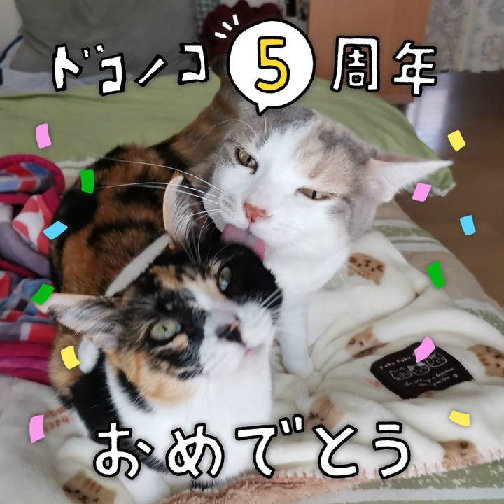 8bfb2013 ea7a 41b6 b308 b39145a64f56 1622870319341