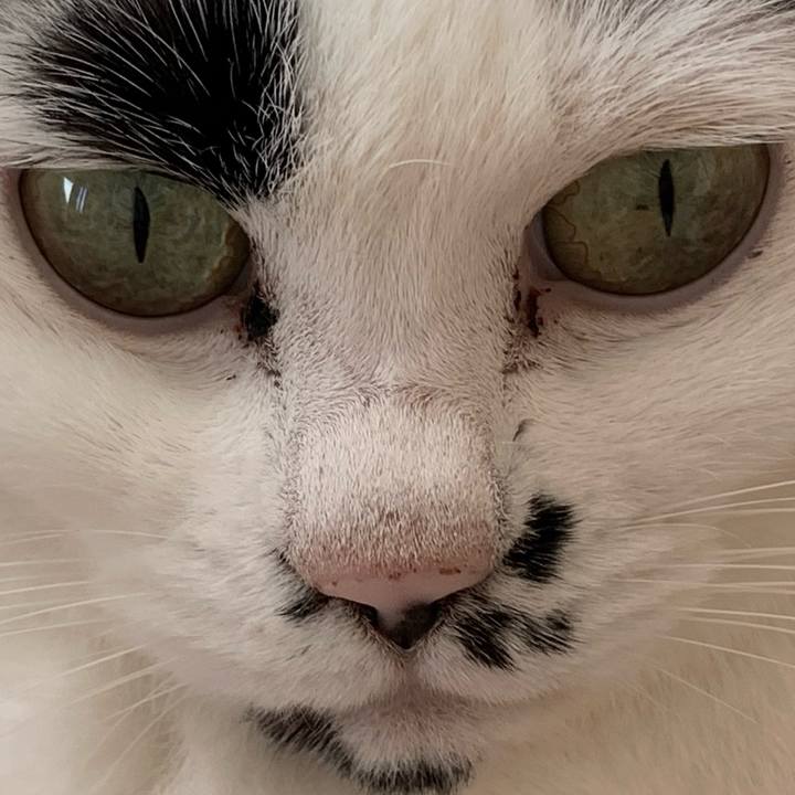 8bfb4683 2096 487a 85aa b7ce678be5c6 1773453664394