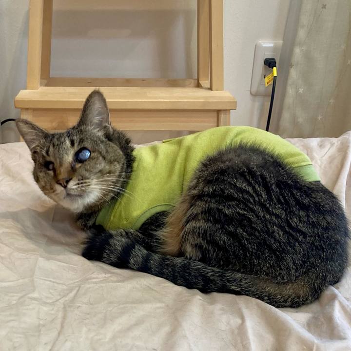 8bfb4b7c f21f 4902 b6da 26fd2af773e9 1682119153890