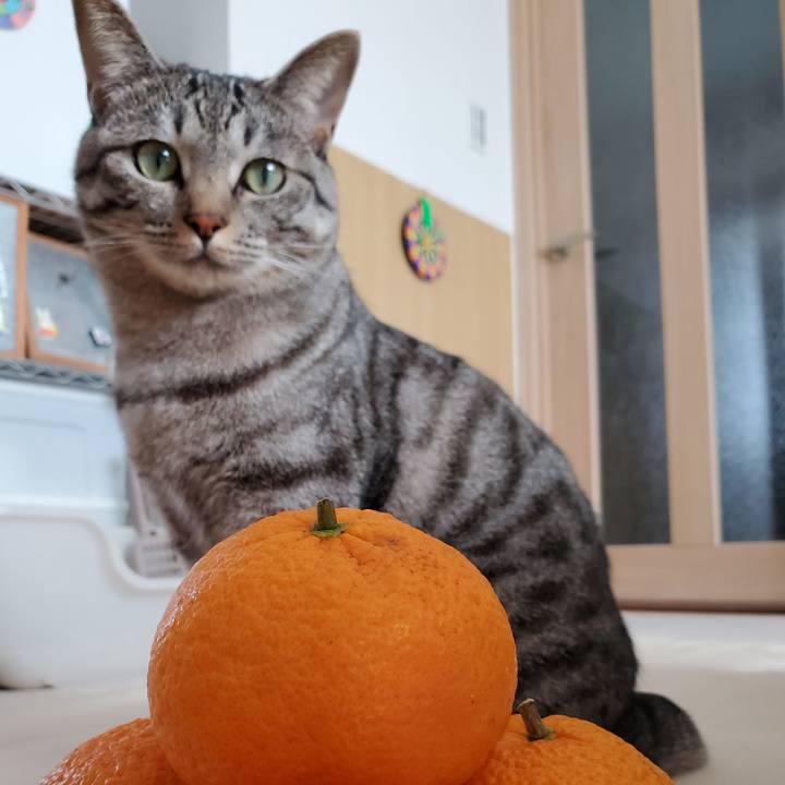 8bfb53c6 6a4e 49c2 8679 2054460ad46a 1707403412676