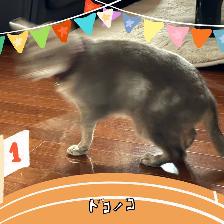 8bfb8ddc d978 477c a883 51c7201c0b70 1761354194571