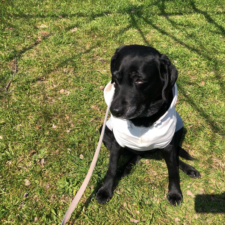 8bfba9e1 9516 418b 8254 16463c9445df 1552625828439