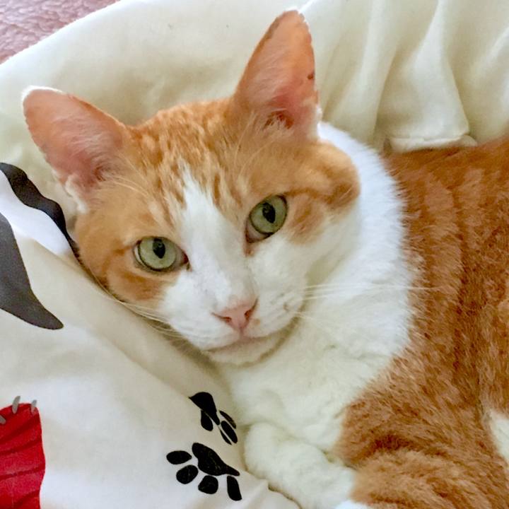 8bfbd221 137b 4e02 824a 0ae0a7281473 1568774383216