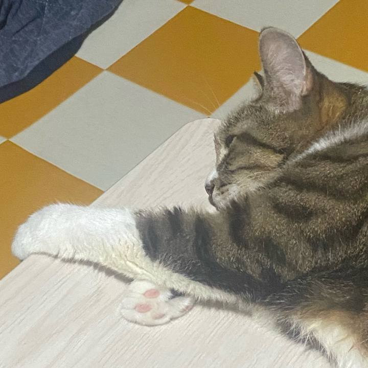 8bfbd45b 0cfc 4d2e b759 993b8588d7f1 1725294504302