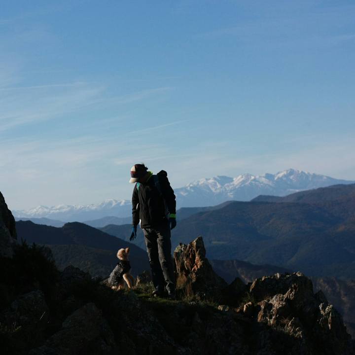 8bfc0aac d371 499a 9f28 bb139fe8dce8 1544772486888