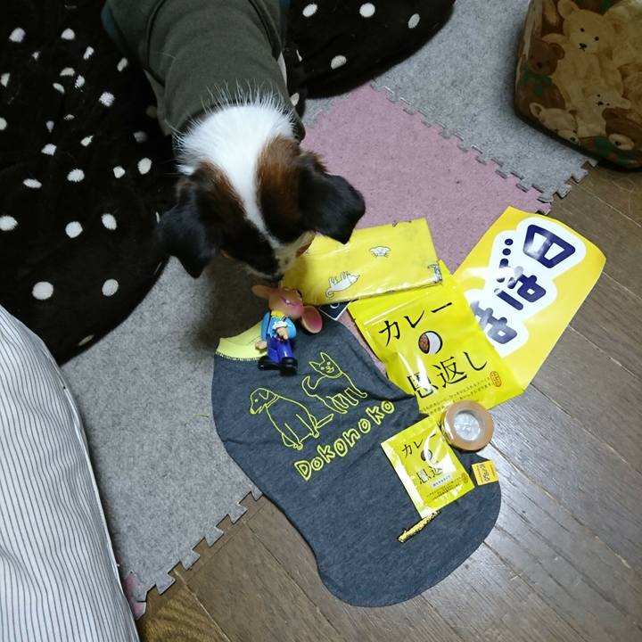 8bfc151f 410e 42d6 9c24 737ddbf10215 1510999249448