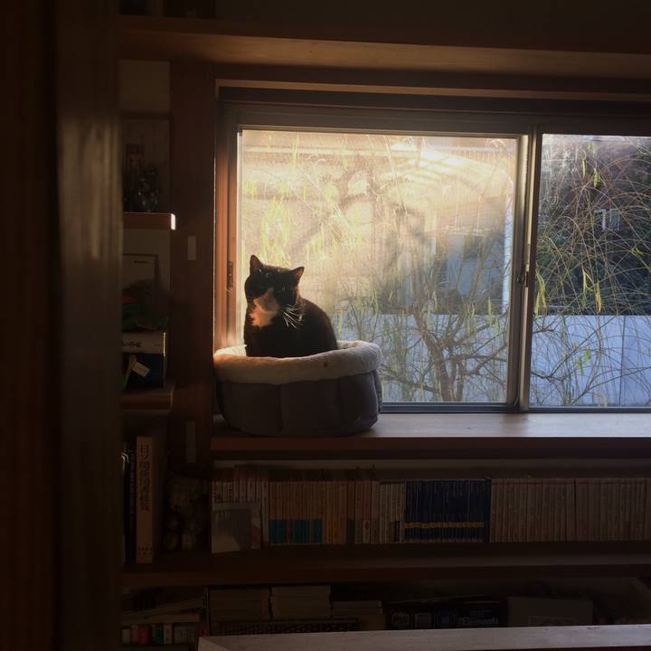 8bfc2ab6 262d 457e b8c5 d96655815af2 1547768300924