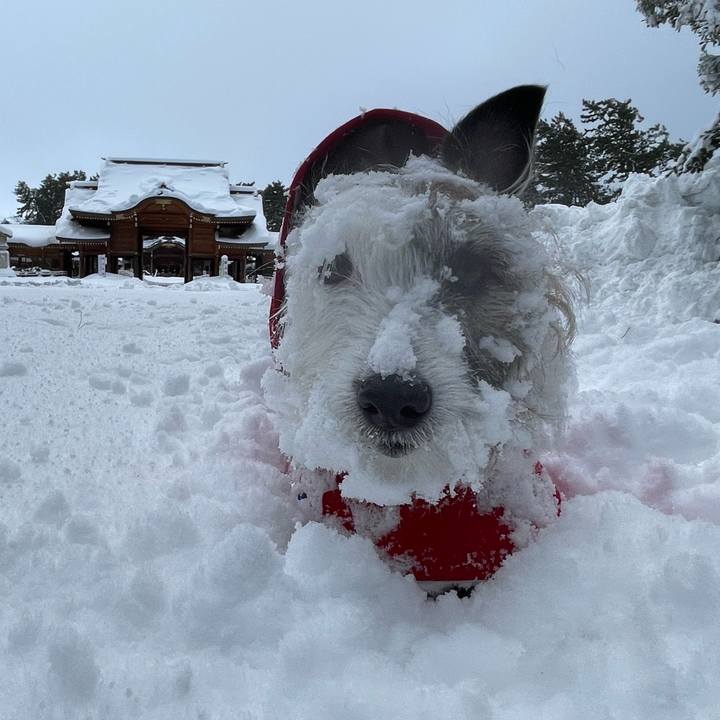 8bfc3ad2 9419 45a7 8180 fa43fff9d4cb 1738970869904