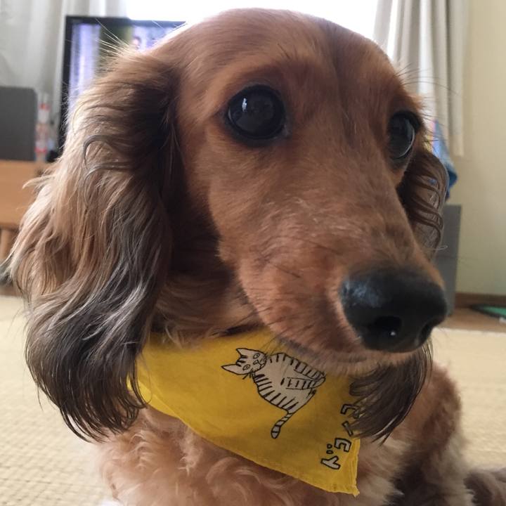 8bfc49e3 d788 4c64 9fc3 485cee5007c2 1528614552059