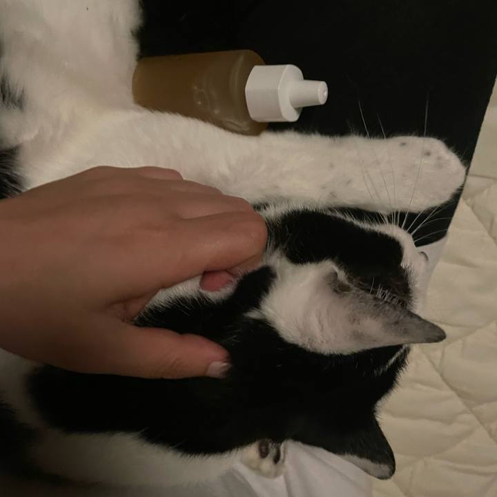 8bfc76ff 1b54 4da4 bd1b dbbf87609a2f 1654620796824