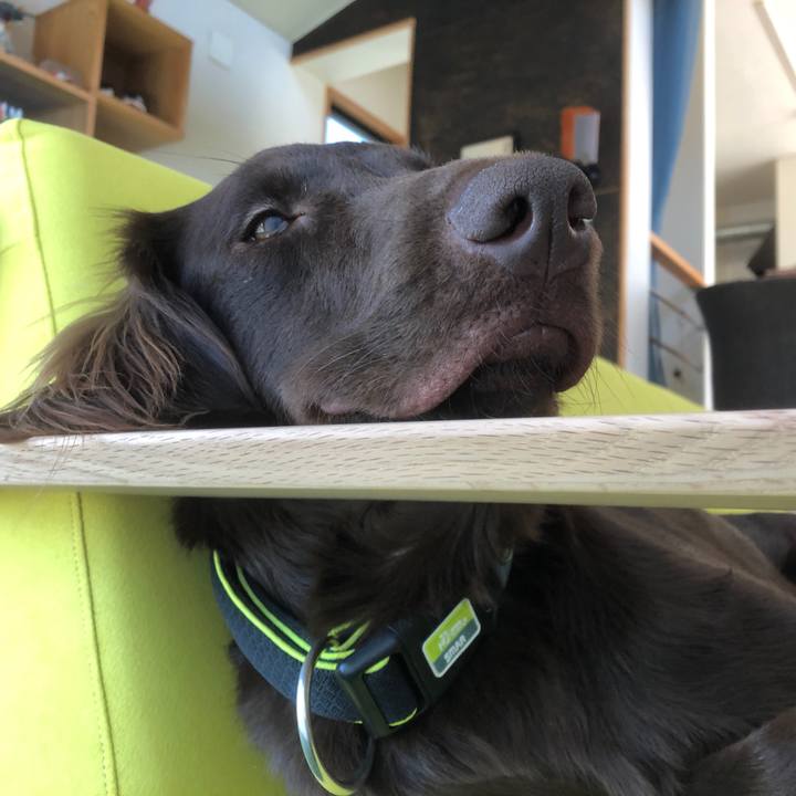 8bfc90cd 33e7 4215 ae37 cc9defe373ff 1582429593408