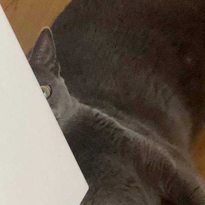 8bfc933c d548 4f3f ad45 302d069e635d 1568522696778