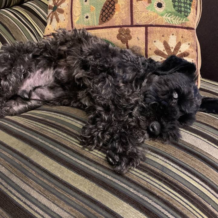 8bfd12ae 331c 40bf 8b1a 766537cbb186 1593001958581