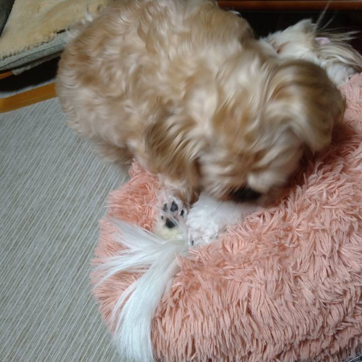 8bfd4933 f66e 4588 bd96 4e449dde1ad8 1617458573193