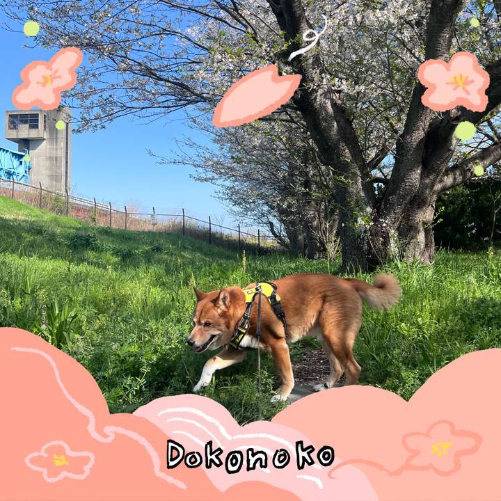 8bfd524c 926a 4d94 a220 1f81dea3c30b 1775524807818